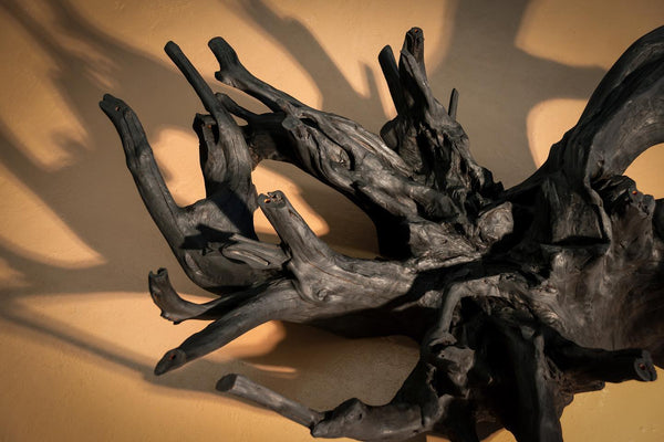 Daniel Cadden "Wabi Root Coffee Table"