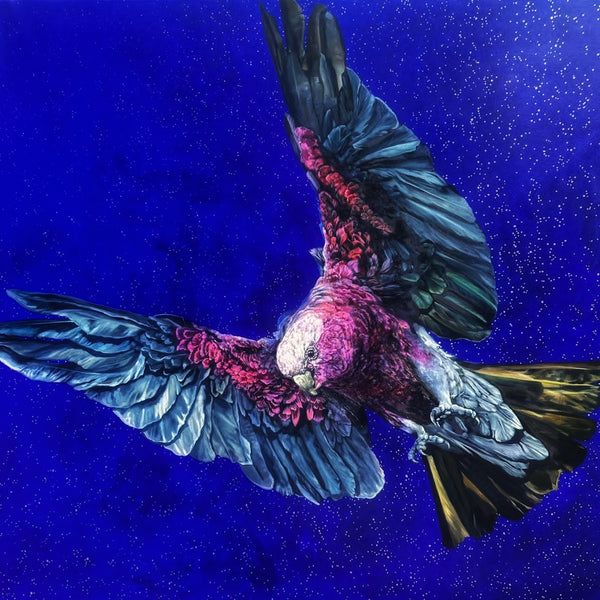 Leah Anketell "Flying Solo"