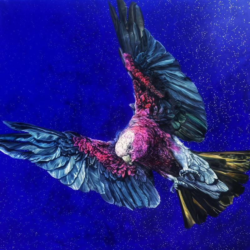 Leah Anketell "Flying Solo"
