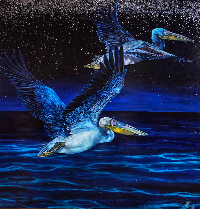 Leah Anketell "Fly Over"