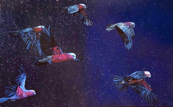 Leah Anketell "Night Flight"