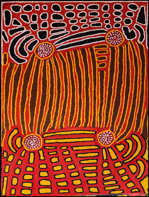 Tjemma (Freda) Napanangka "Yukupalli" Great Sandy Desert W.A. | ninbella.art.